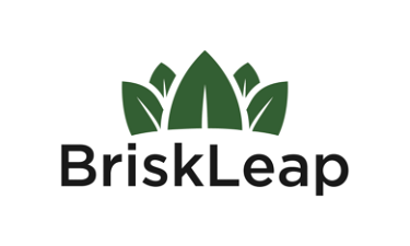 BriskLeap.com
